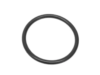 Victor Reinz Thermostat O-Ring - 99970163240